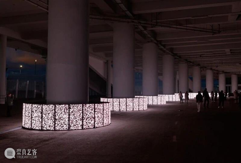 2024年5月全球新媒体艺术盘点 崇真艺客