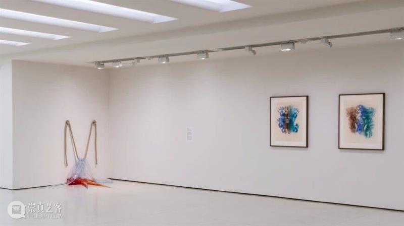 古根海姆藏品中的材料与运动_超越传统的实践 | 国家美术·关注 视频资讯 | 藏品 材料 古根海姆 国家 美术 途径 BALKA 艺术 特征 工作室 崇真艺客