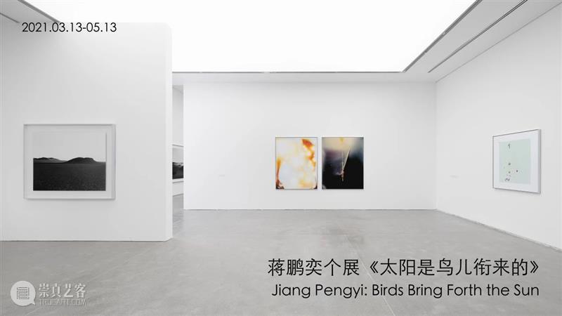 十年——香格纳在西岸2015-2024 崇真艺客