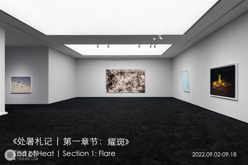 十年——香格纳在西岸2015-2024 崇真艺客