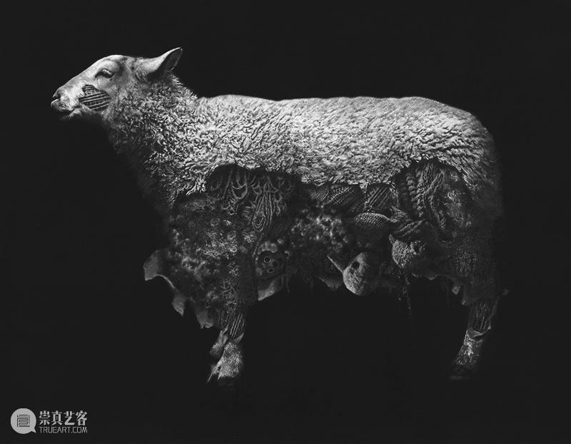 “实践的力量·第十一届中国当代版画文献展”在金陵美术馆开展 崇真艺客