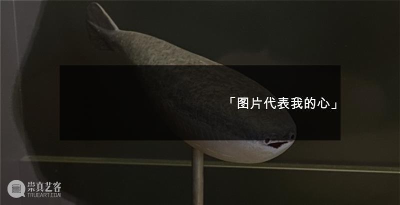 新展预告 | 「伴生」Concomitant 崇真艺客