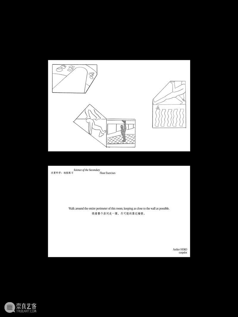 分享会｜Science of the Secondary：WHY  WE  DO  WHAT?  WE?  DO? 崇真艺客