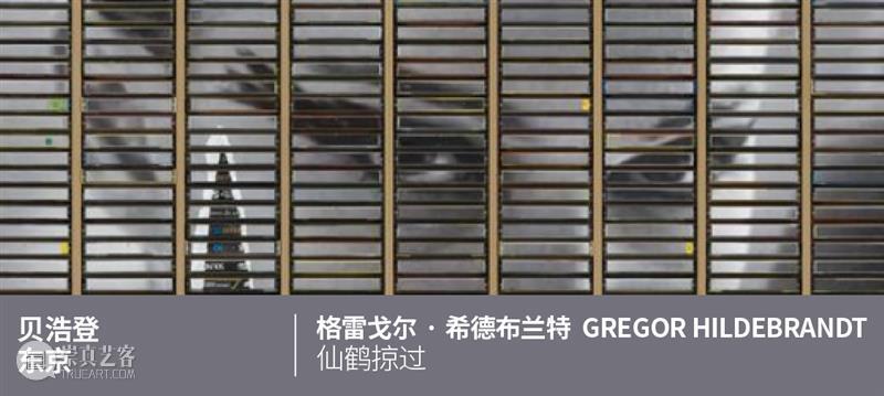 贝浩登上海 | 招聘:社交媒体专员 崇真艺客