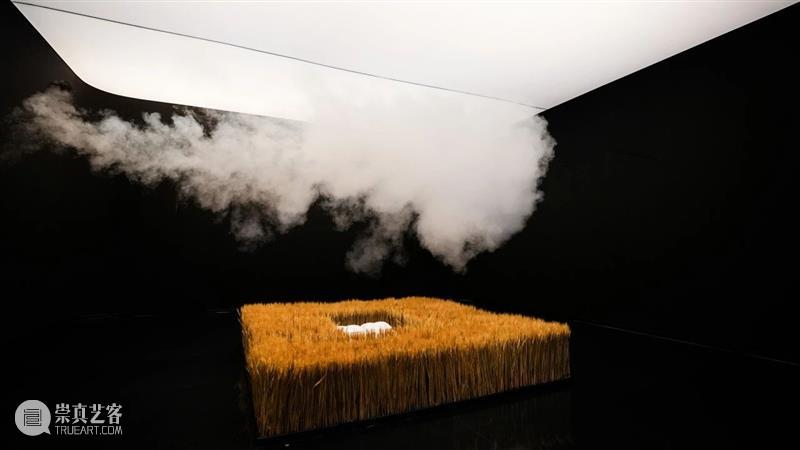 深圳美术馆端午假期观展指南 崇真艺客