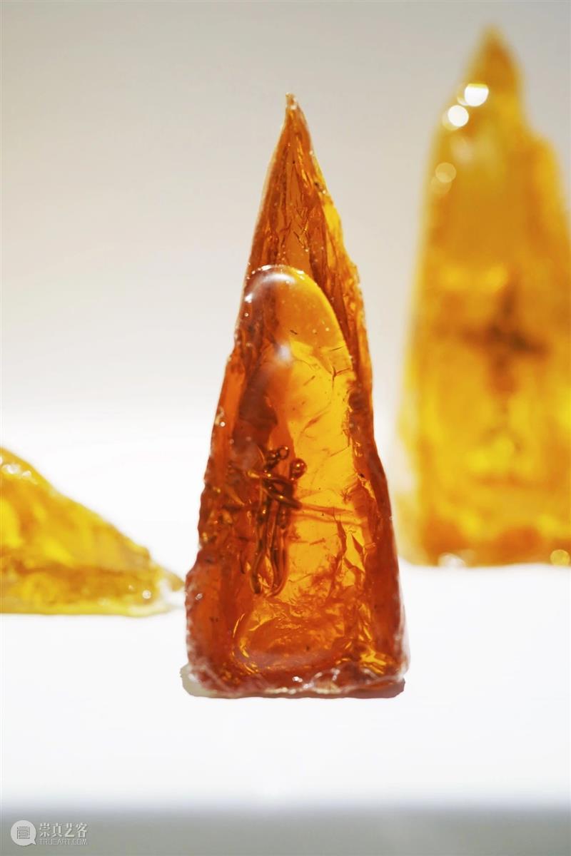 展览现场 (一) | 荒野之声Sounds Wild 液态 Liquid 现场 荒野 Sounds Wild 部分 作品 徐健 记忆 装置 标准 崇真艺客