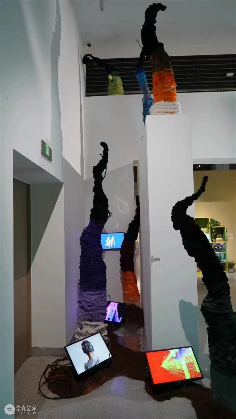 展览现场 (一) | 荒野之声Sounds Wild 液态 Liquid 现场 荒野 Sounds Wild 部分 作品 徐健 记忆 装置 标准 崇真艺客