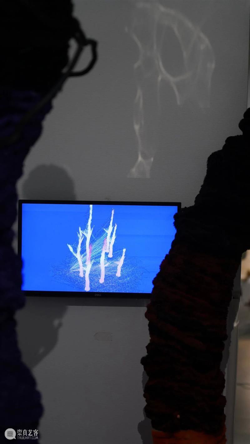 展览现场 (一) | 荒野之声Sounds Wild 液态 Liquid 现场 荒野 Sounds Wild 部分 作品 徐健 记忆 装置 标准 崇真艺客