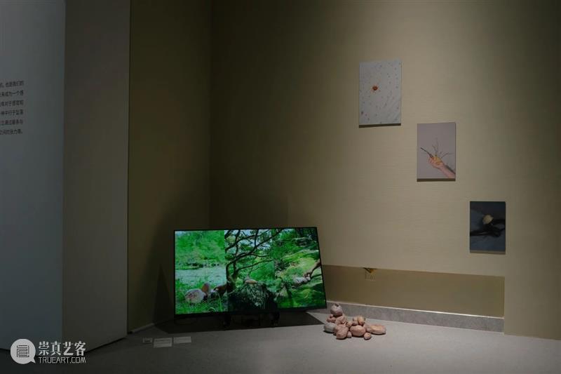 展览现场 (一) | 荒野之声Sounds Wild 液态 Liquid 现场 荒野 Sounds Wild 部分 作品 徐健 记忆 装置 标准 崇真艺客
