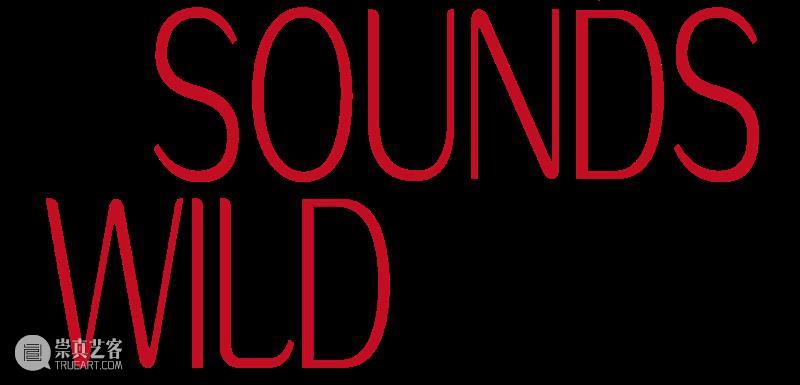 展览现场 (一) | 荒野之声Sounds Wild 液态 Liquid 现场 荒野 Sounds Wild 部分 作品 徐健 记忆 装置 标准 崇真艺客