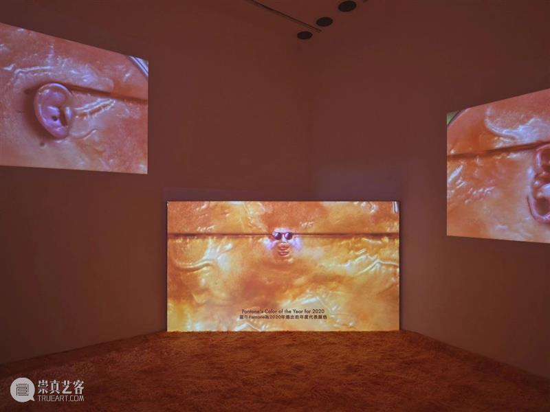 转载｜ARC｜撕掉那层糖果包装纸——评黄炳“肛门耳语” 崇真艺客