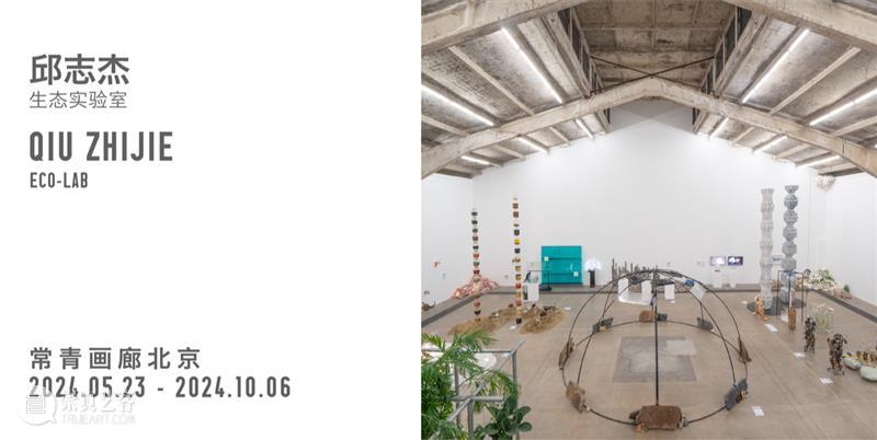 常青画廊即将参加2024年瑞士巴塞尔艺术展 | 展位 N21 崇真艺客