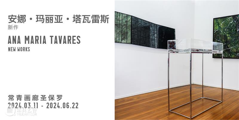 常青画廊即将参加2024年瑞士巴塞尔艺术展 | 展位 N21 崇真艺客