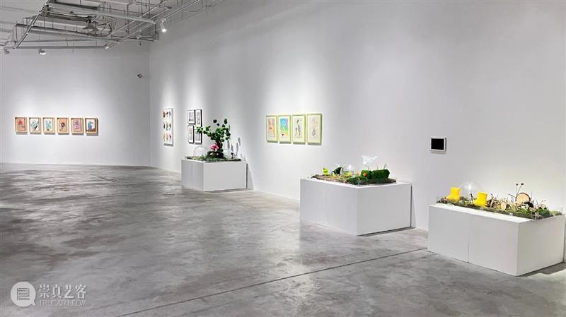 展览预告 | 第七届“初芒计划（2024）——上海少儿优秀美术作品展”即将开幕 崇真艺客