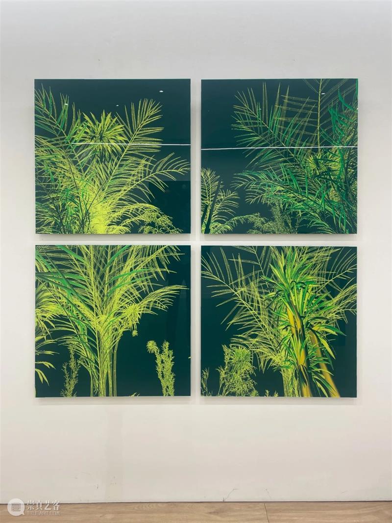 巴黎展览 | Vertige | 杜梦堂 DUMONTEIL Contemporary Paris 崇真艺客