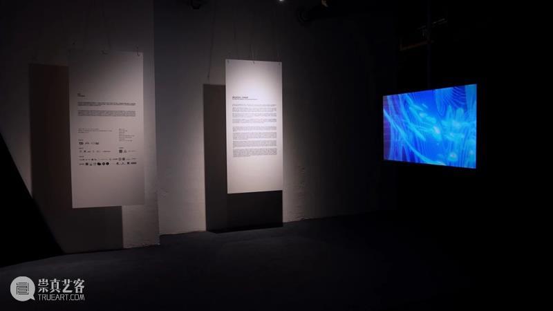 跨时区数字空间艺术&沉浸式新媒体互动体验 全球巡展第五站·天津 崇真艺客