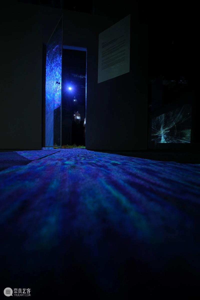 跨时区数字空间艺术&沉浸式新媒体互动体验 全球巡展第五站·天津 崇真艺客