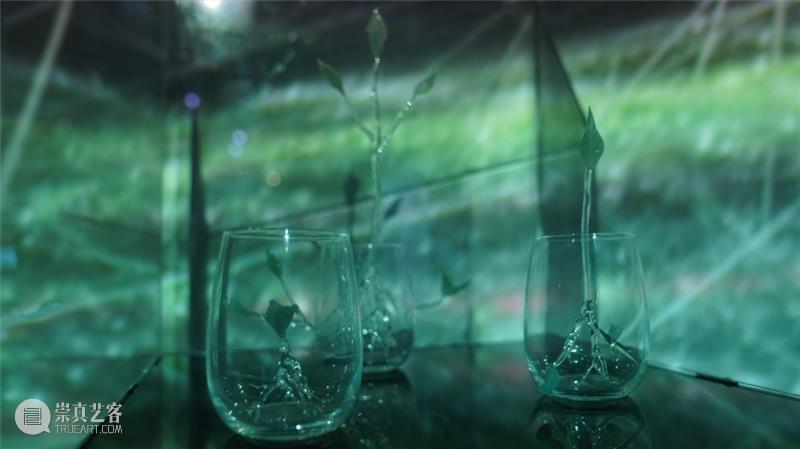 跨时区数字空间艺术&沉浸式新媒体互动体验 全球巡展第五站·天津 崇真艺客