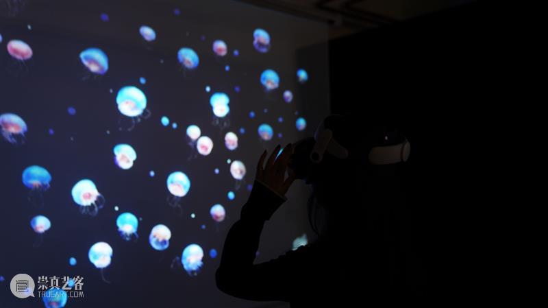 跨时区数字空间艺术&沉浸式新媒体互动体验 全球巡展第五站·天津 崇真艺客