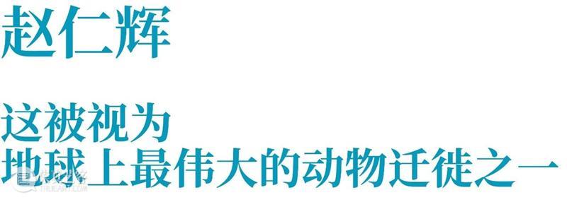 TAG专辑 | 与海相遇:艺术家们的蓝色回忆录(下) 崇真艺客