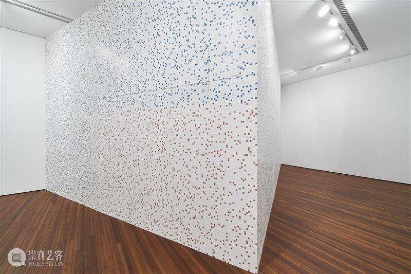 新展现场|“不明之物”“海笼”“化身”三展正式揭幕! 崇真艺客