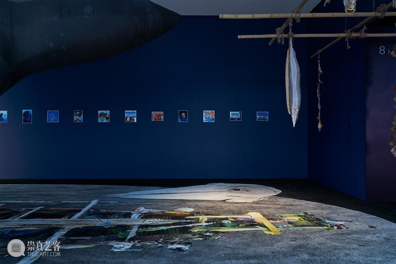 新展现场|“不明之物”“海笼”“化身”三展正式揭幕! 崇真艺客
