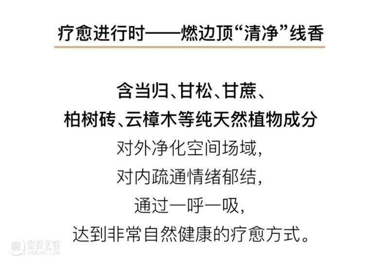 「松」活动|草坪垫上婵柔,拥抱美好松式生活 崇真艺客