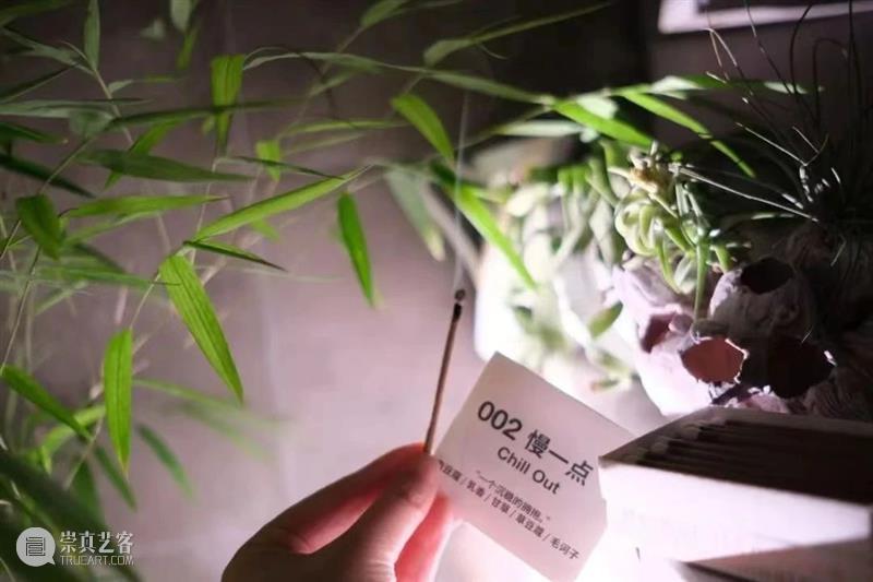 「松」活动|草坪垫上婵柔,拥抱美好松式生活 崇真艺客