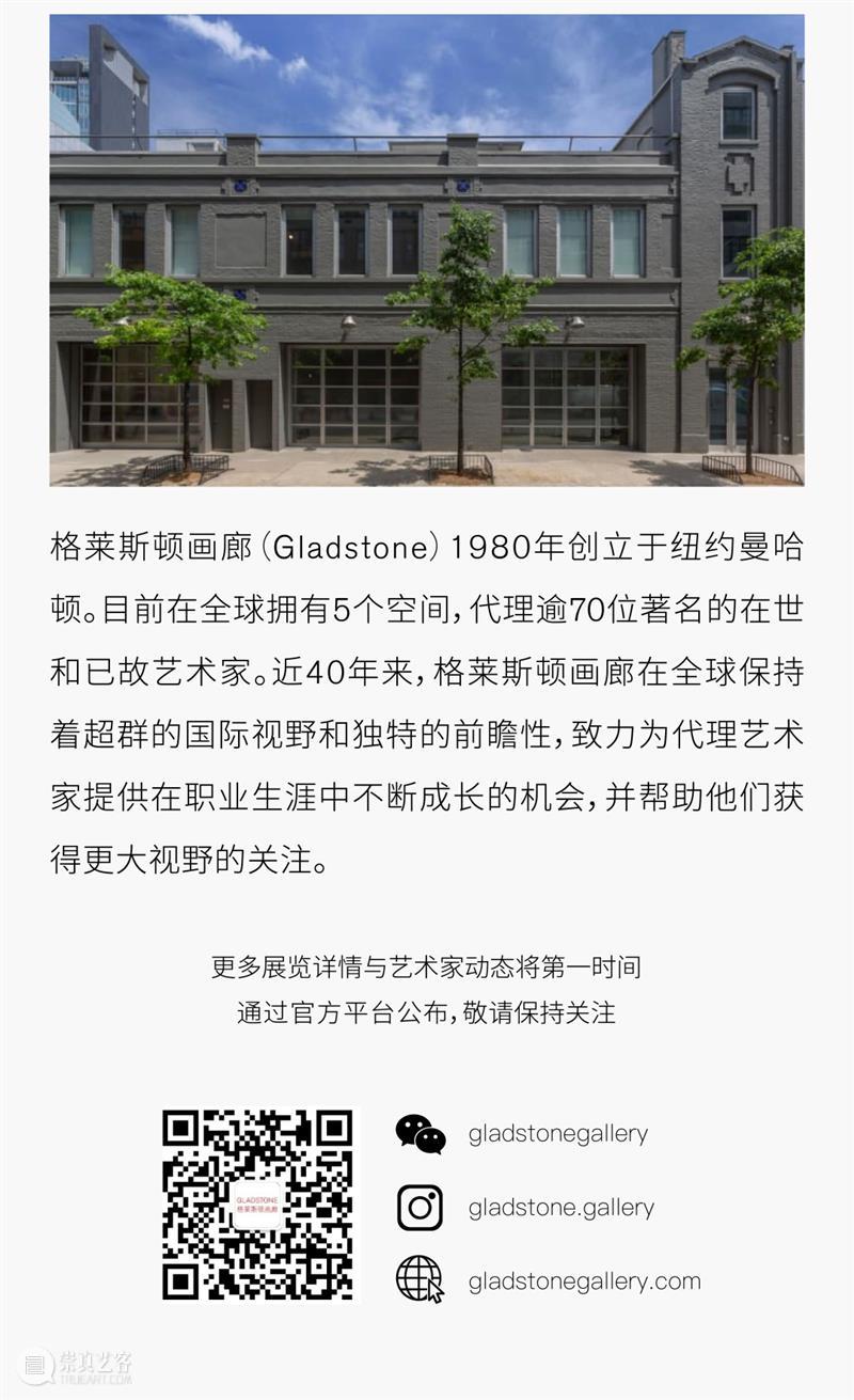 巴塞尔艺术展|郝量、罗斯玛丽·特洛柯尔、菲利普·帕雷诺 崇真艺客