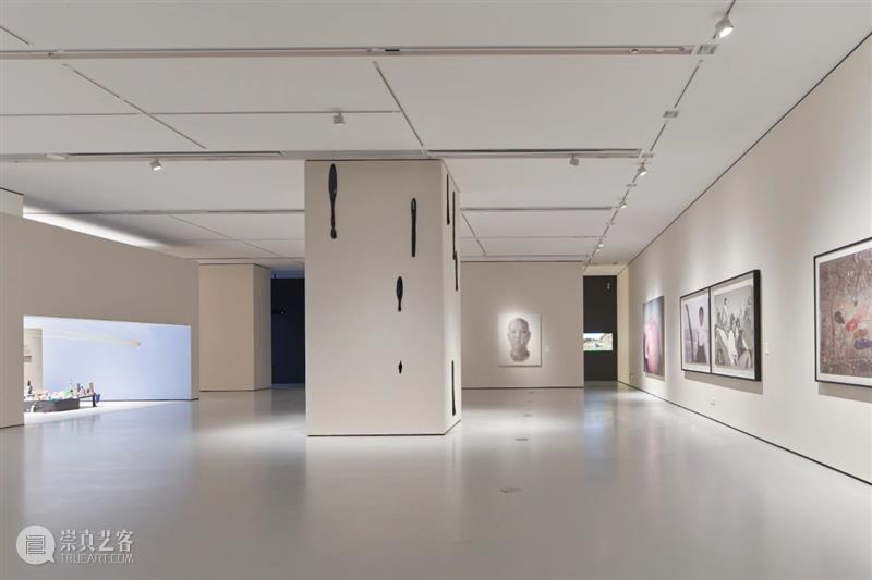 新闻｜刘建华、宋冬、尹秀珍、张晓刚、政纯办作品正于广州美术馆展出 崇真艺客