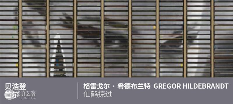艺博会|瑞士巴塞尔艺术展贝浩登展位现场|展位:L24 崇真艺客