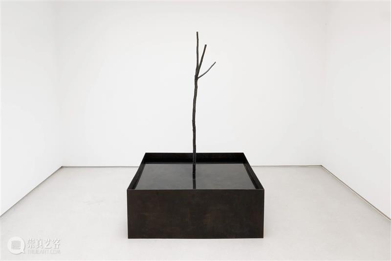 展览|诺特·维塔尔:沉思 Thaddaeus Ropac 巴黎玛黑 崇真艺客