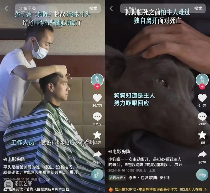 和电影的奇遇，不止在这一夜 崇真艺客