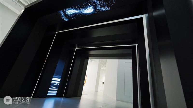 艺术家白水最新当代艺术装置《春水》｜带你探索水之宇宙 崇真艺客