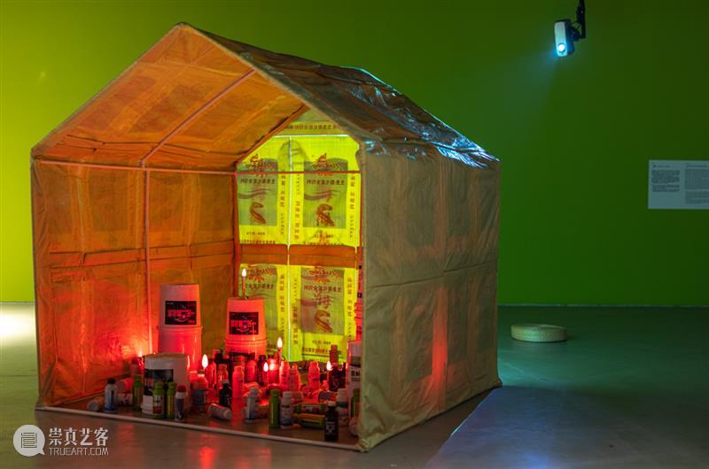 讲座 | 奚雷:超越陆地中心主义的思考与创作 崇真艺客