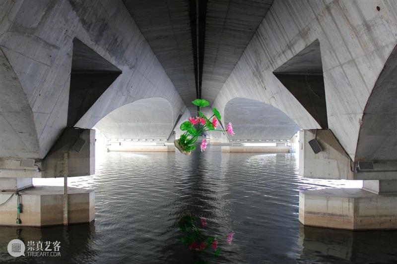 讲座 | 奚雷:超越陆地中心主义的思考与创作 崇真艺客