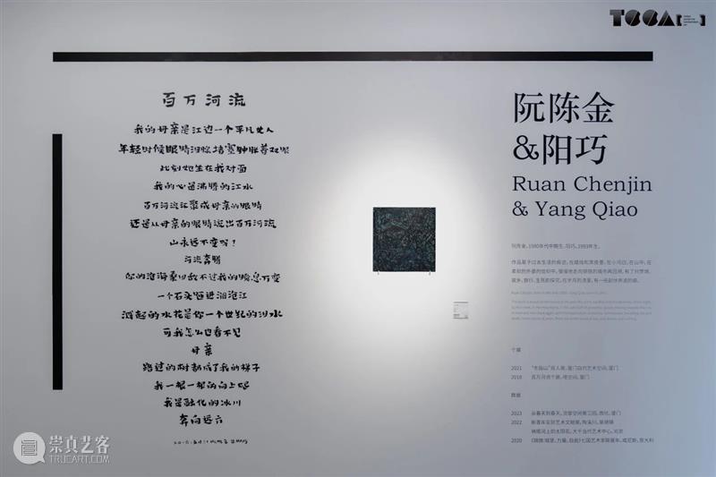 三个单元|阮陈金&阳巧:最终阮郎错失前路和归途 崇真艺客