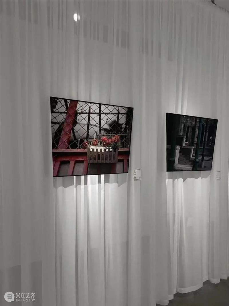 三个单元|顾文璟:时间绵延的余音 崇真艺客