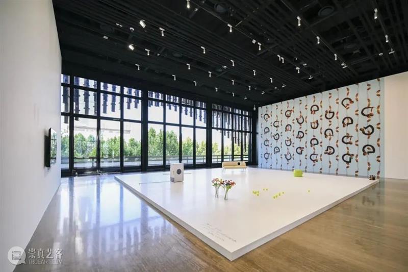 立木艺术家 | 欧文·沃姆个展于上海复星艺术中心开展,集结艺术“梦游者” 视频资讯 艺术家 欧文 沃姆 梦游者 上海复星艺术中心 立木 艺术 Wurm 个展 Dreamwalkers 崇真艺客