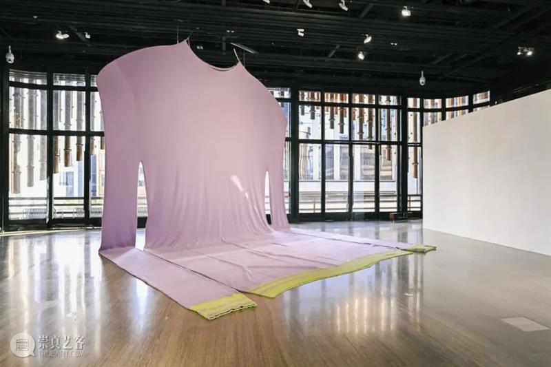立木艺术家 | 欧文·沃姆个展于上海复星艺术中心开展,集结艺术“梦游者” 视频资讯 艺术家 欧文 沃姆 梦游者 上海复星艺术中心 立木 艺术 Wurm 个展 Dreamwalkers 崇真艺客