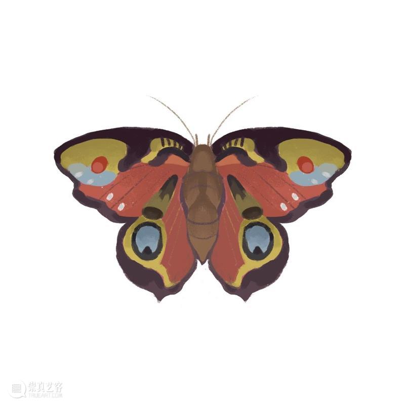 等一个自然而然的夏天,我想要带你来浦美 崇真艺客