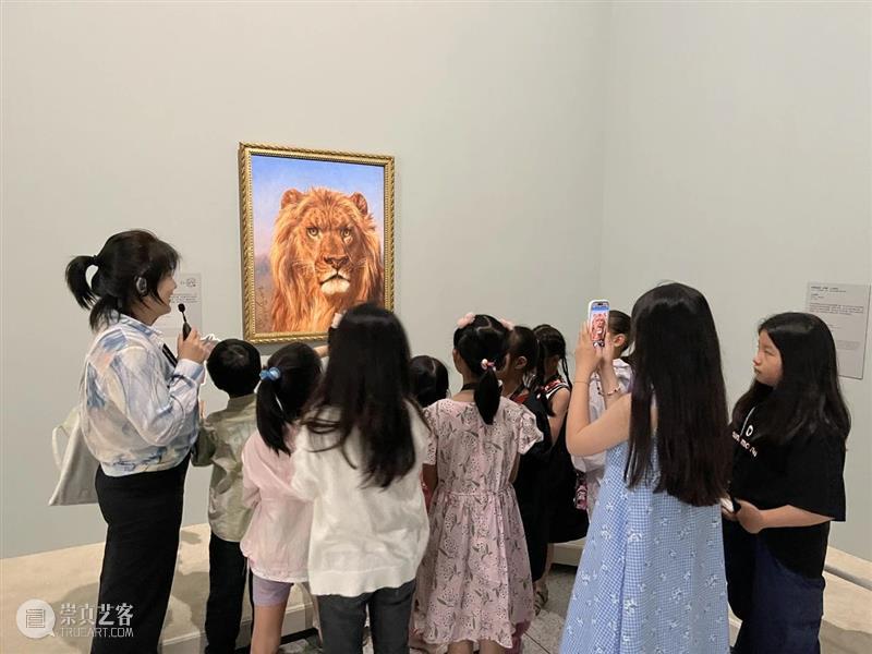 等一个自然而然的夏天,我想要带你来浦美 崇真艺客