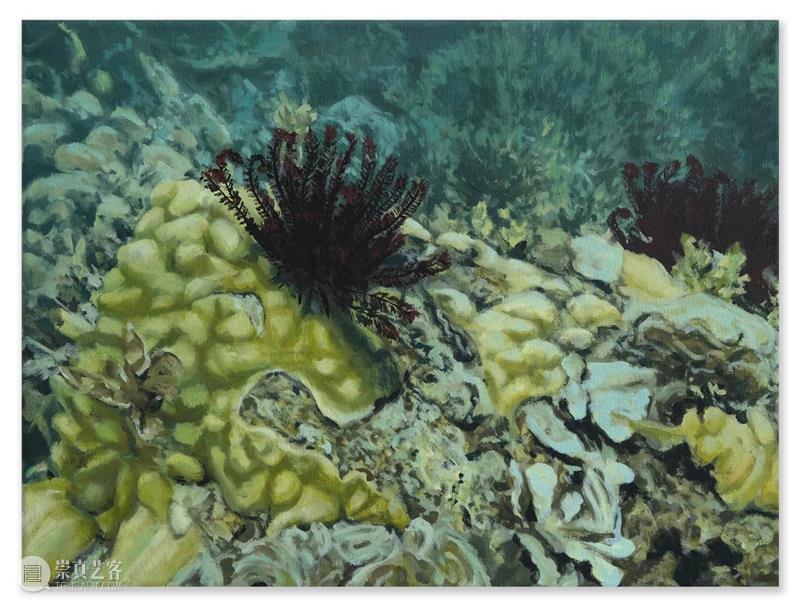 展览 EXHIBITION | 布鲁诺·加丹纳 Bruno GADENNE「海之苍穹」| 杜梦堂 上海 崇真艺客