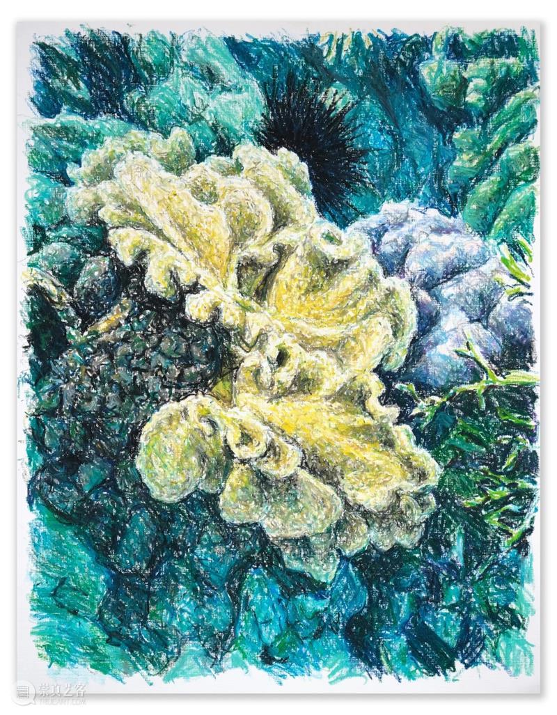 展览 EXHIBITION | 布鲁诺·加丹纳 Bruno GADENNE「海之苍穹」| 杜梦堂 上海 崇真艺客