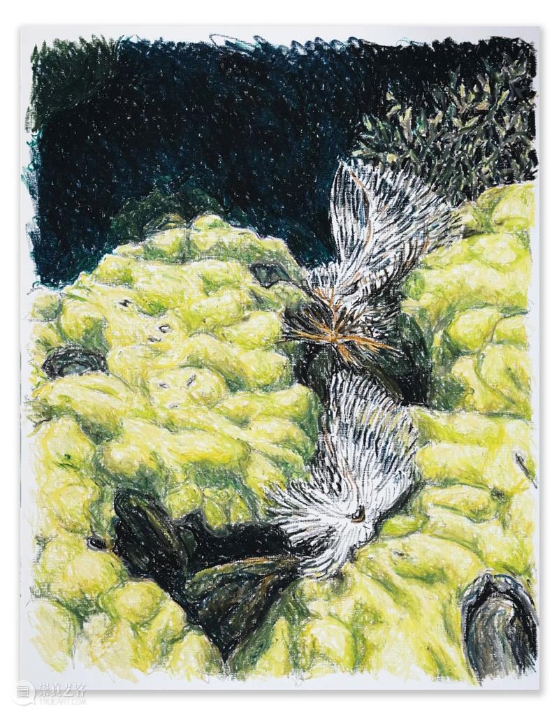 展览 EXHIBITION | 布鲁诺·加丹纳 Bruno GADENNE「海之苍穹」| 杜梦堂 上海 崇真艺客