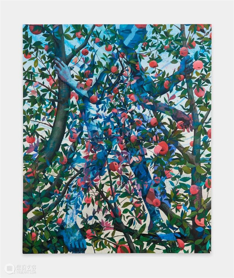 艺术壮士报道｜专访马蒂·施内普夫：跨过人生临界点，朝向未知的挑战 崇真艺客