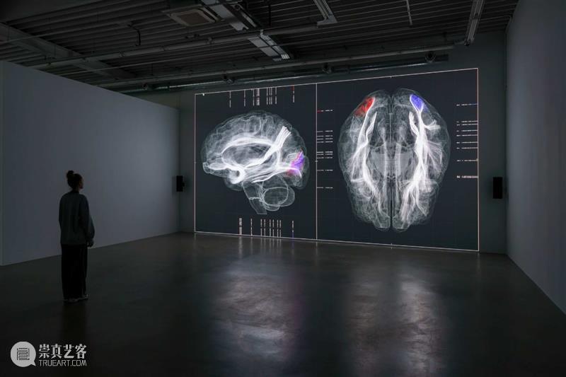 池田亮司_数据、信息和计算机 | 国家美术·关注 视频资讯 | 池田亮司 计算机 信息 数据 国家 美术 Ikeda 个展 地点 比利时 崇真艺客