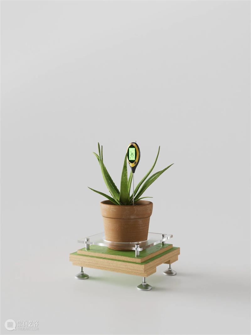 Setup！安装 × PLANTAGRAM：从远方吹进城市的风，转圜沙砾山水之间 视频资讯 Mingyuan Museum 崇真艺客