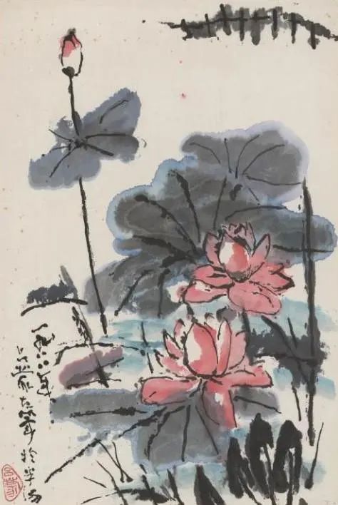 轻悦读 | “荷”你相遇，共赴仲夏之约 崇真艺客