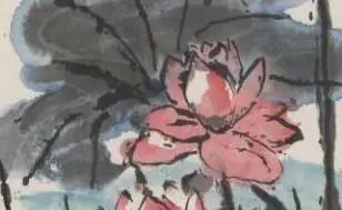 轻悦读 | “荷”你相遇，共赴仲夏之约 崇真艺客